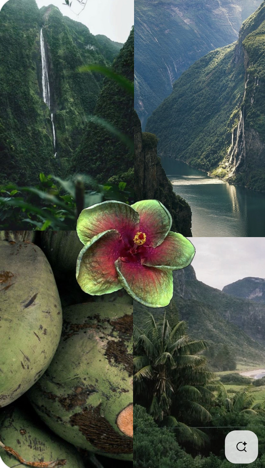 🌿 Feel-Good Friday: Why You Need to Connect with the Earth Today (and Every Day)