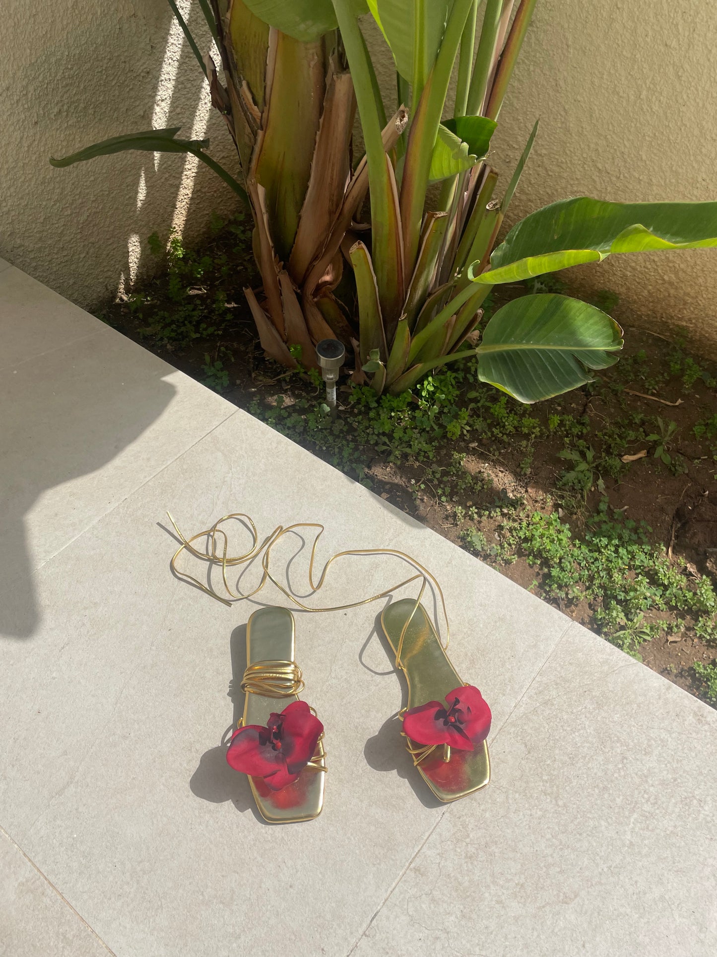 Medusa Red Orchid Gold Lace Up Sandal Flats