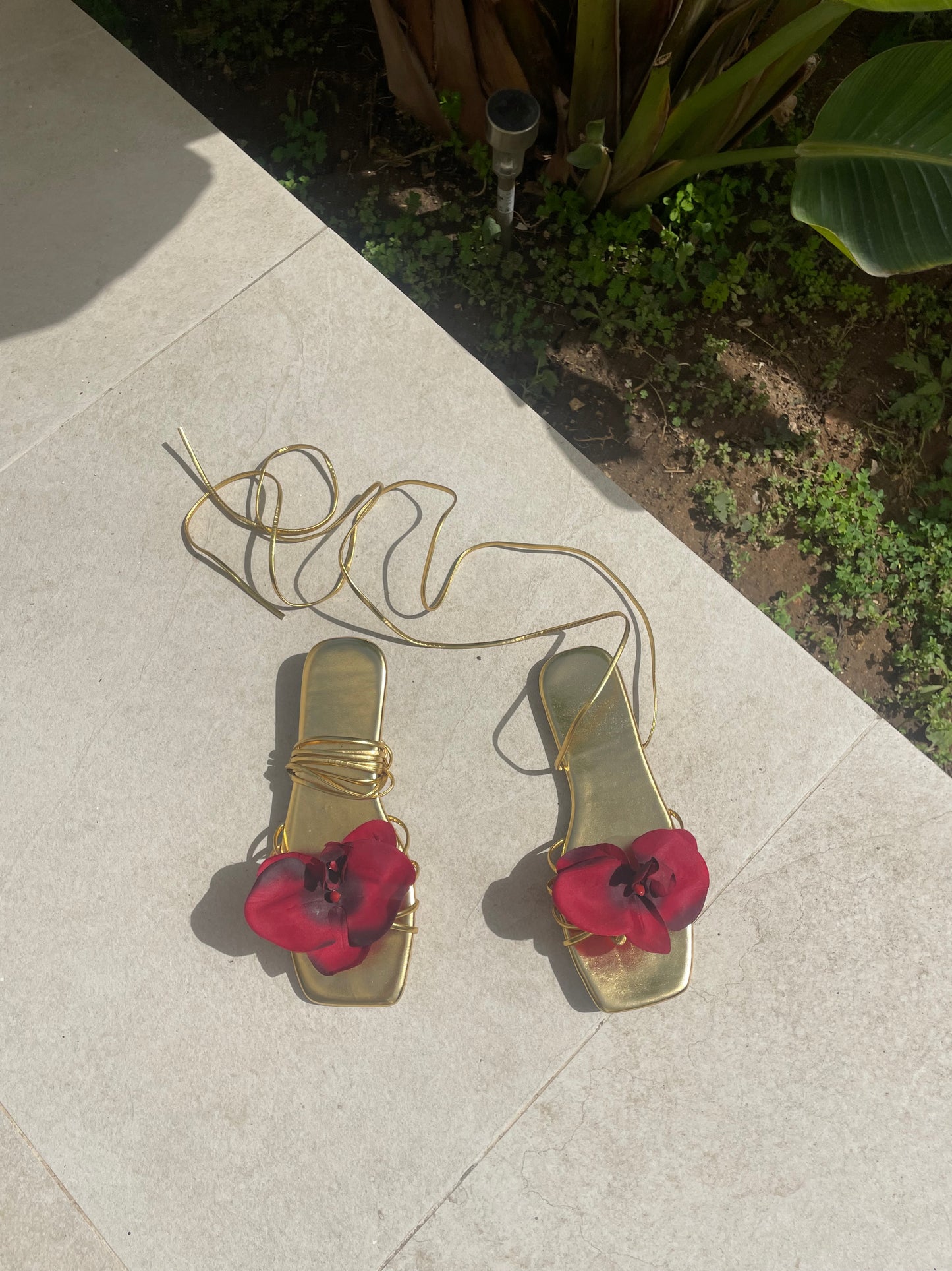 Medusa Red Orchid Gold Lace Up Sandal Flats