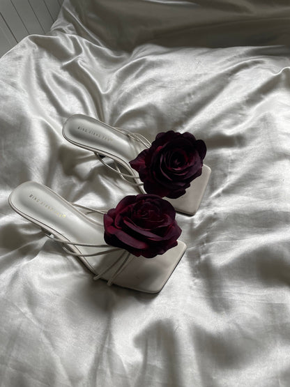 Black rose 🌹