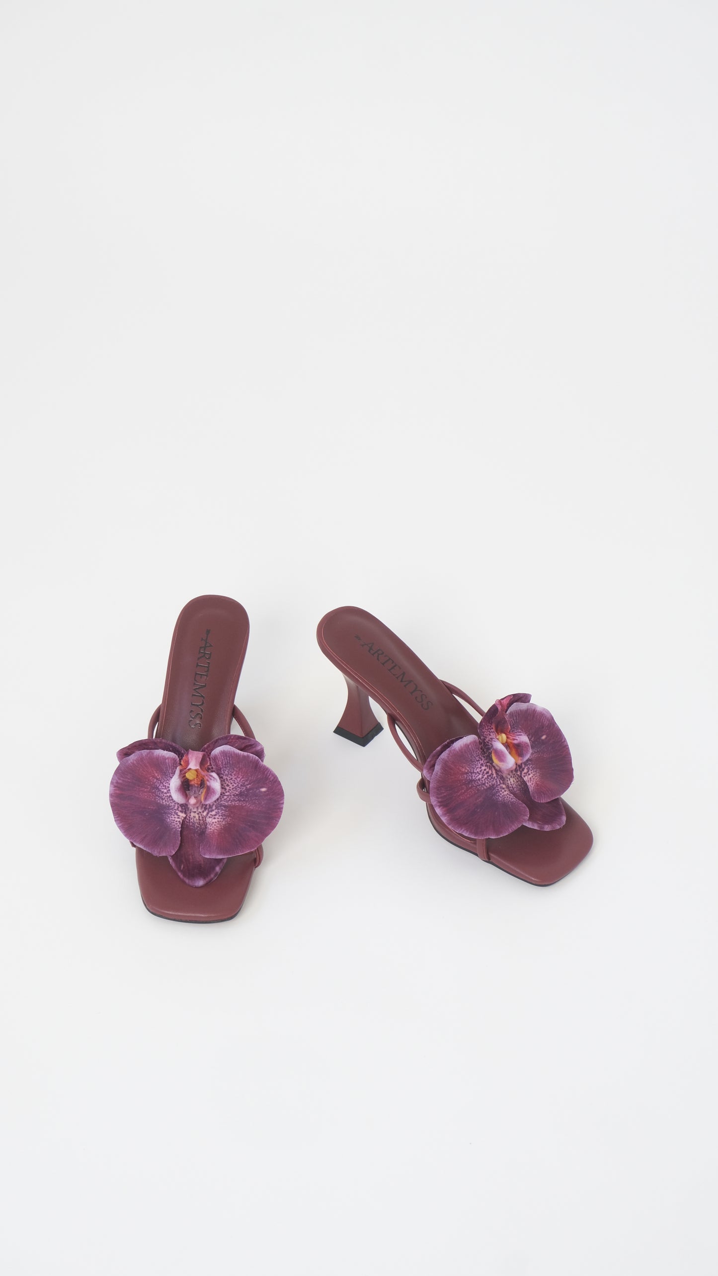 Lucia Mule