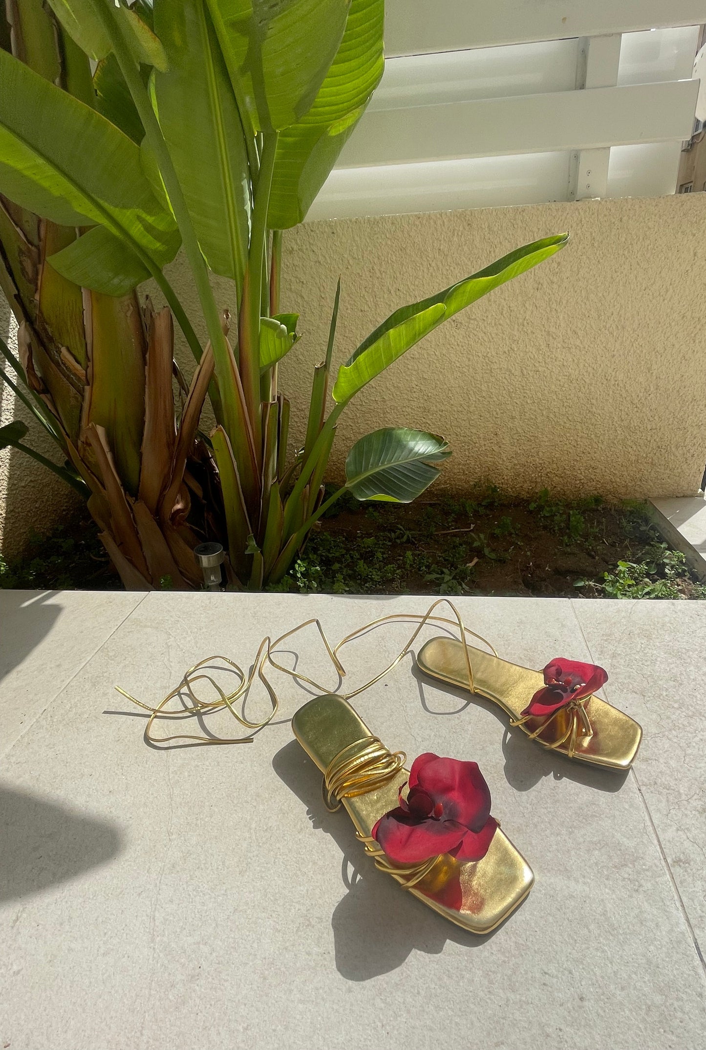 Medusa Red Orchid Gold Lace Up Sandal Flats