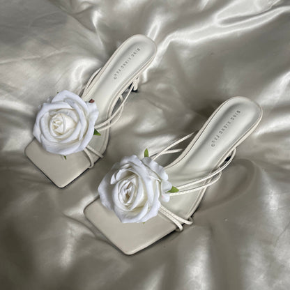 White rose 🌹