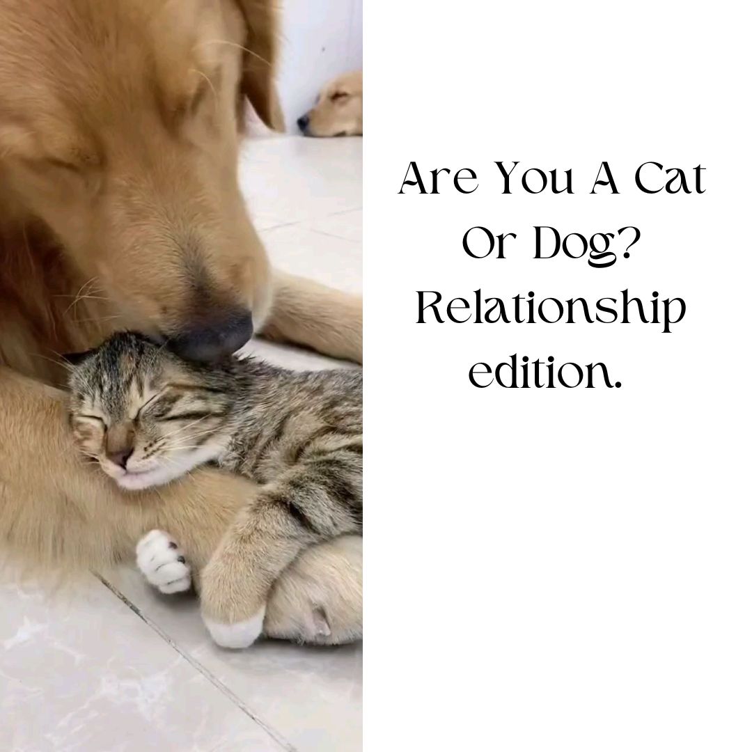 The Cat and Dog Theory: What Your Relationship Style Says About You 🐱🐶 (2025)