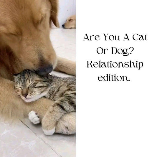 The Cat and Dog Theory: What Your Relationship Style Says About You 🐱🐶 (2025)