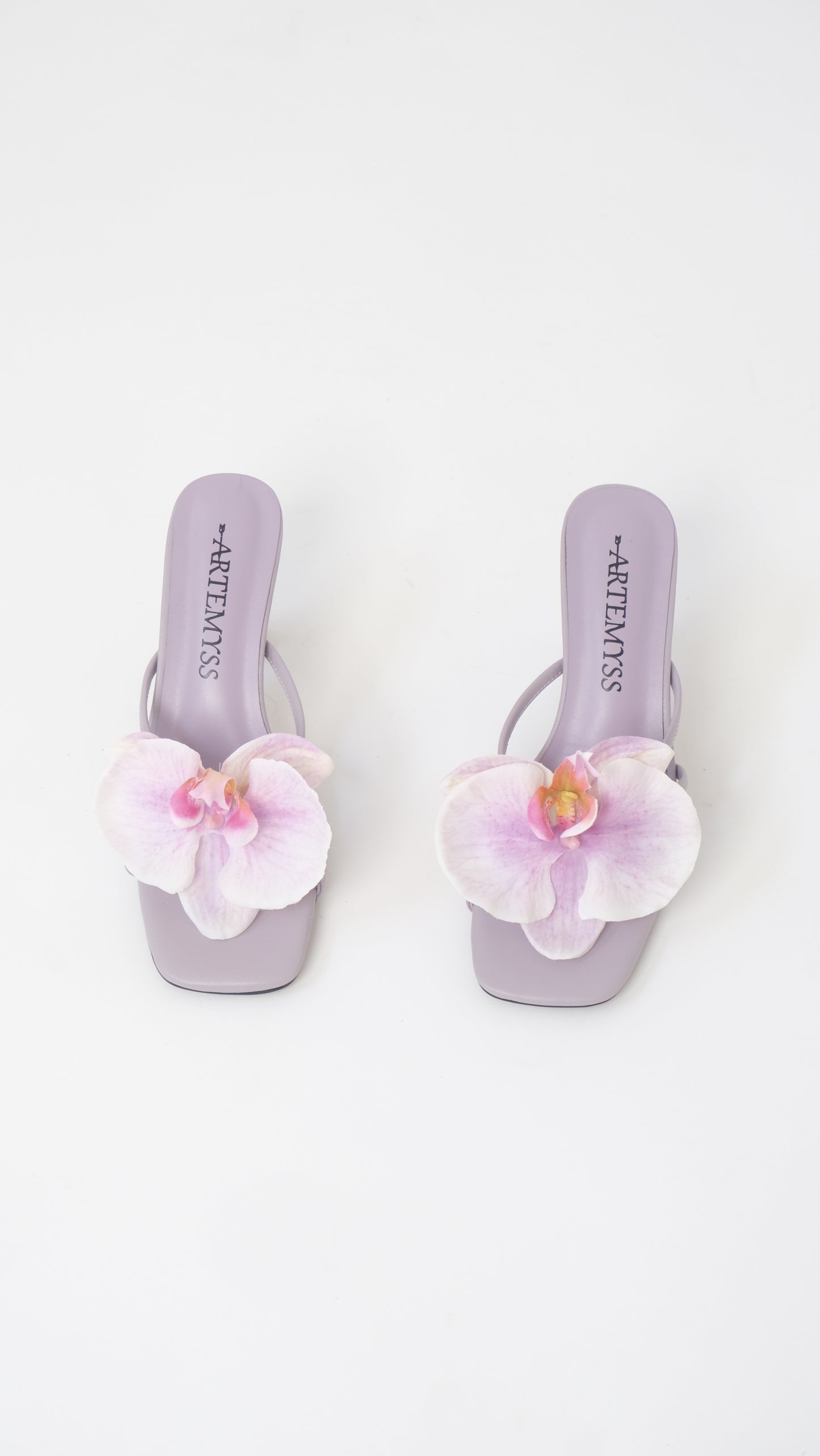 Genevive Mule