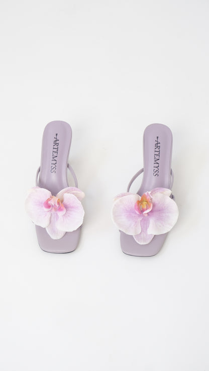 Genevive Mule