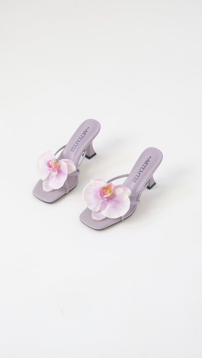 Genevive Mule