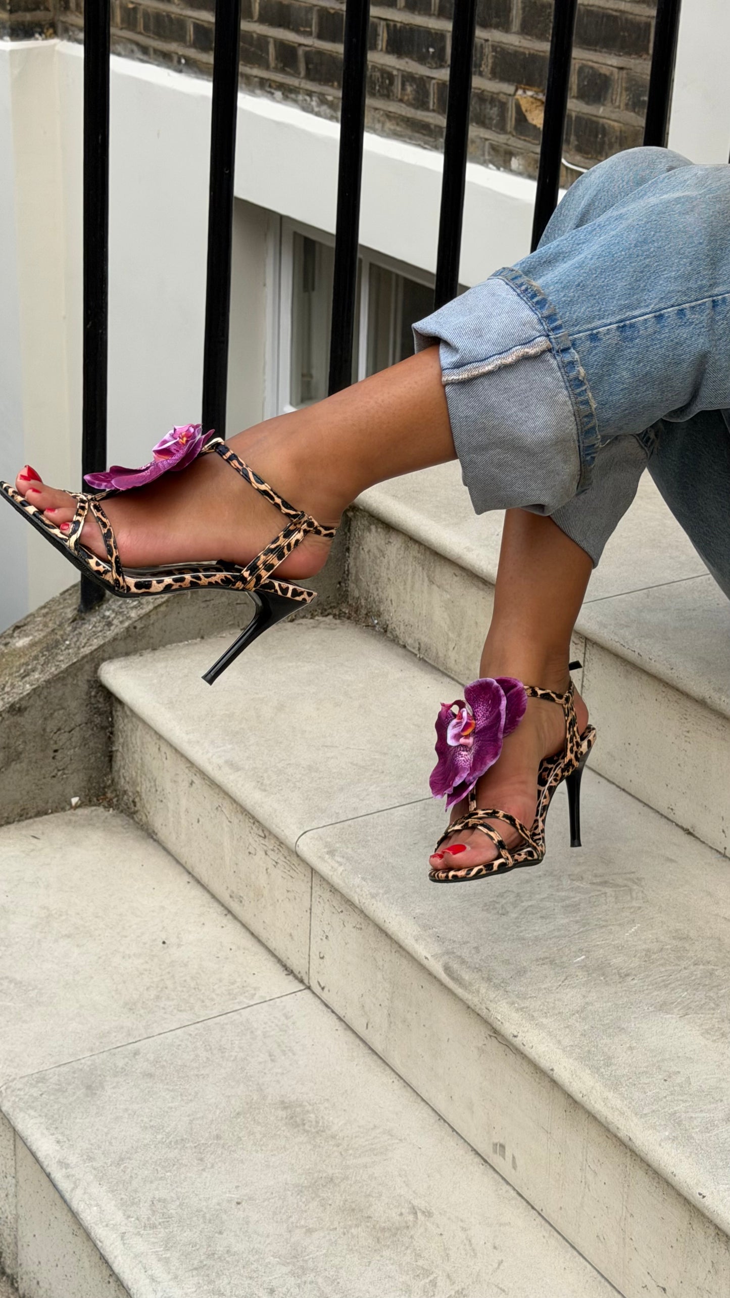 Jennifer mule