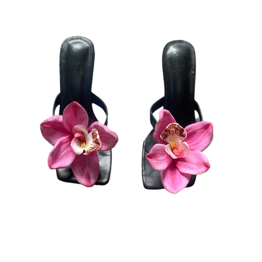 Georgia Pink Cymbidium Orchid Black Thong