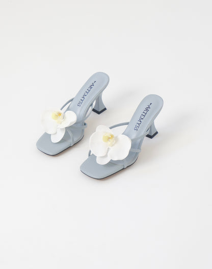 Alia Mule