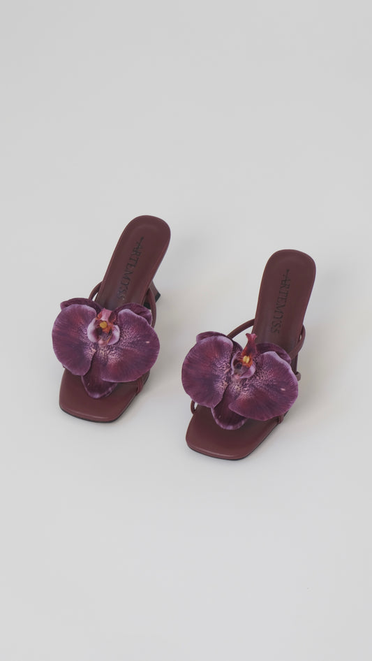 Lucia Mule