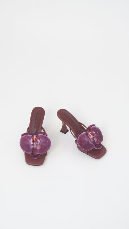 Lucia Mule