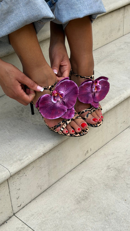Jennifer mule