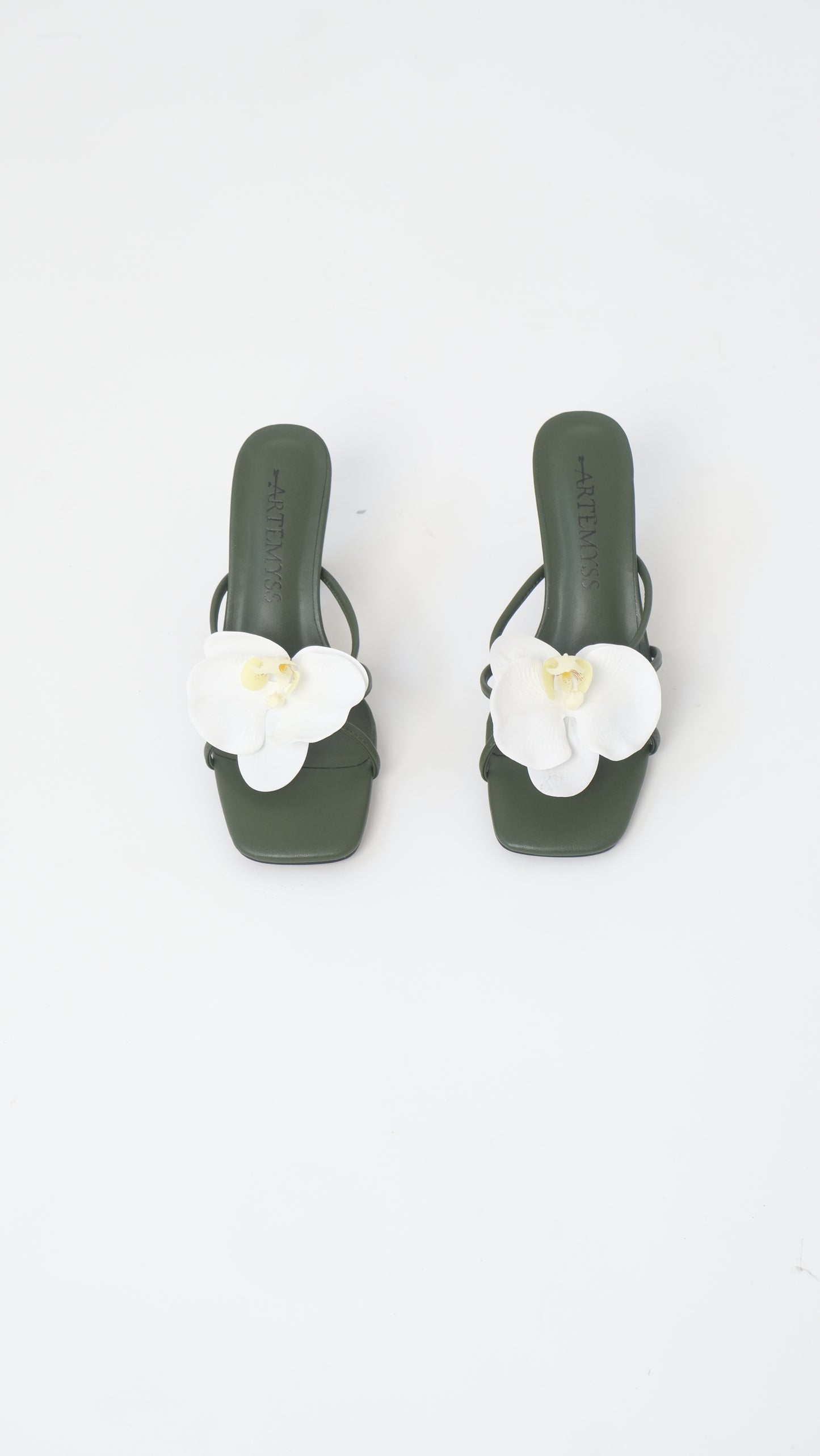 Teresa Mule