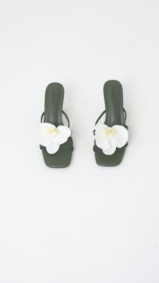 Teresa Mule