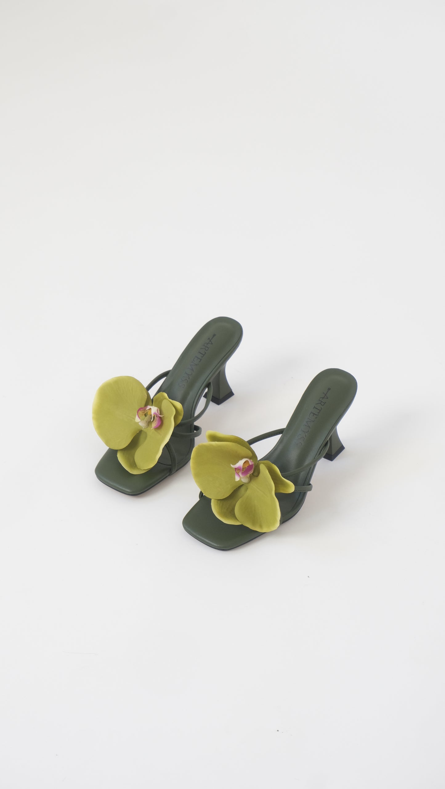 Nicole Mule