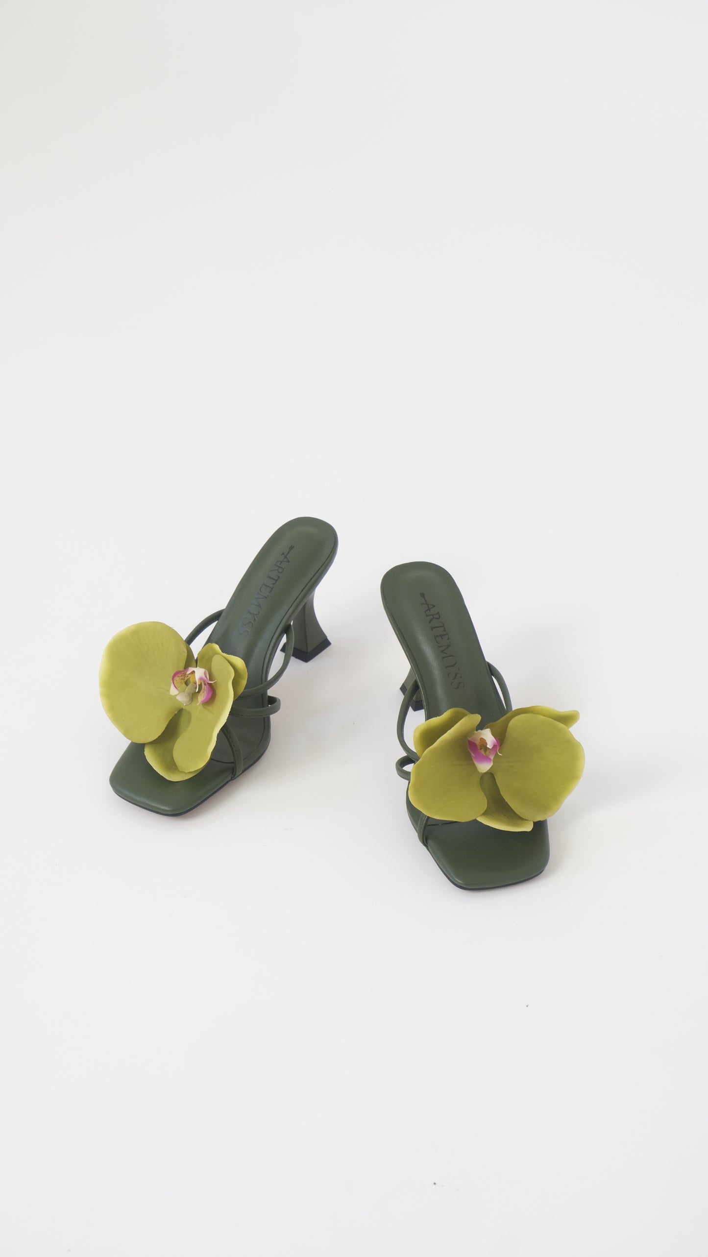 Nicole Mule