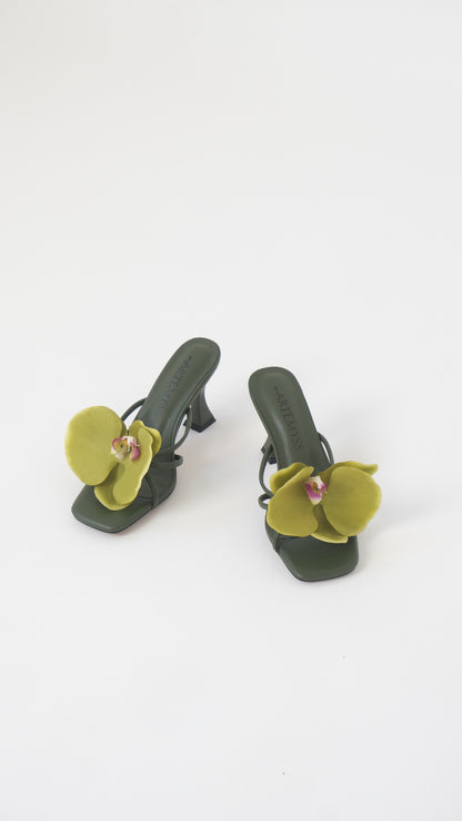 Nicole Mule