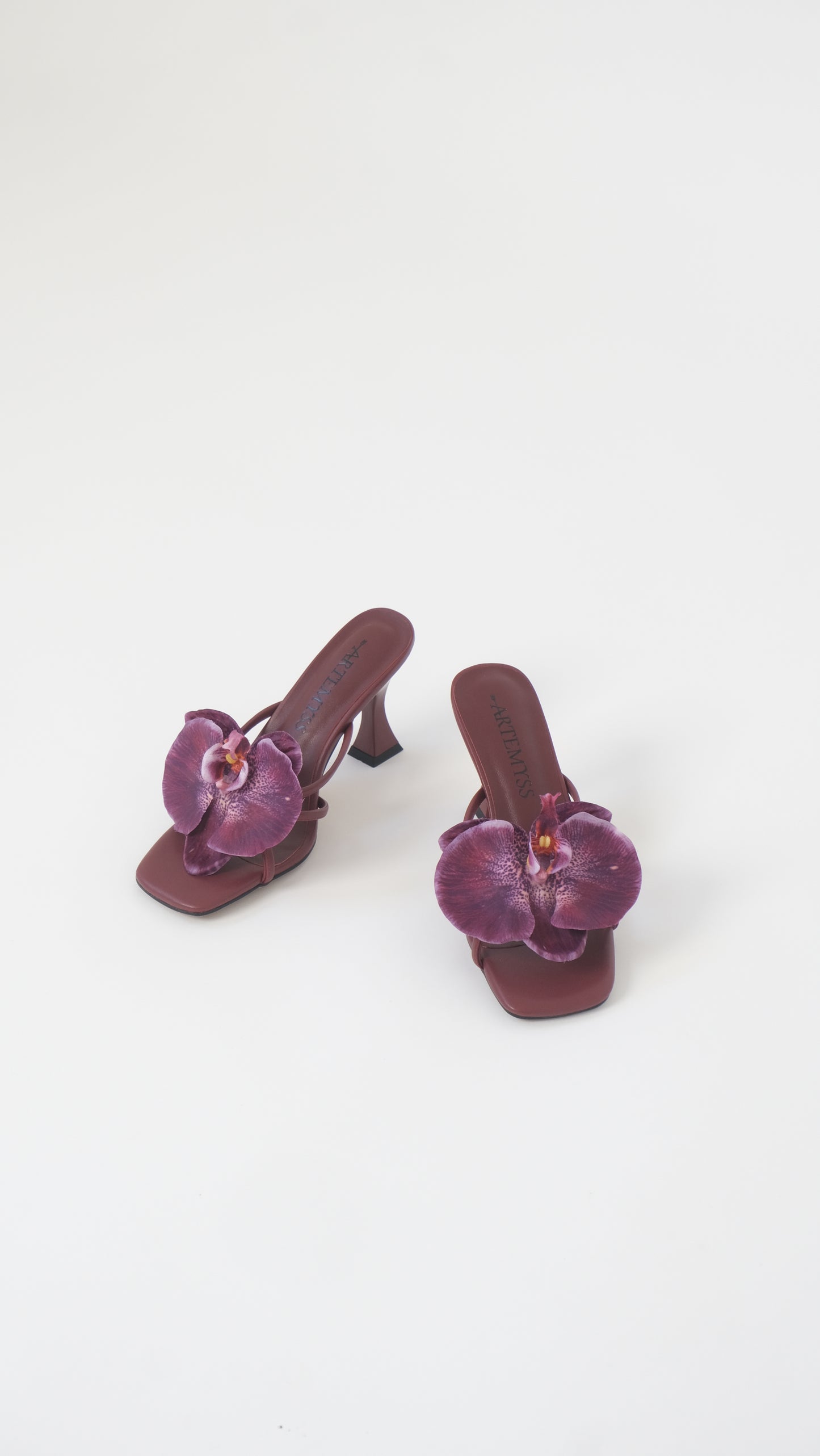 Lucia Mule