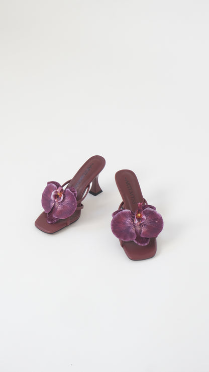 Lucia Mule