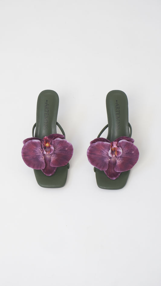 Jolene Mule