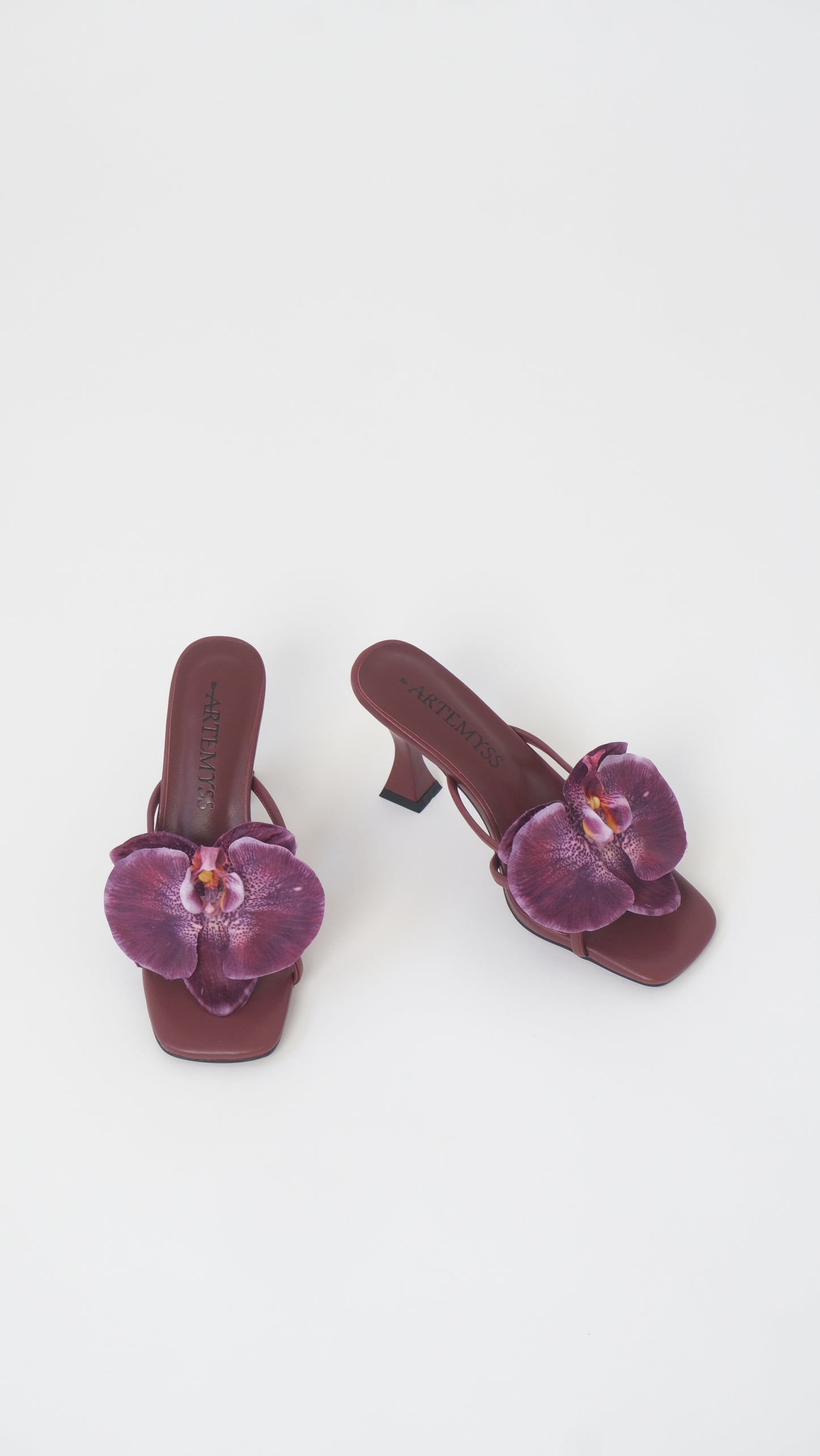 Lucia Mule
