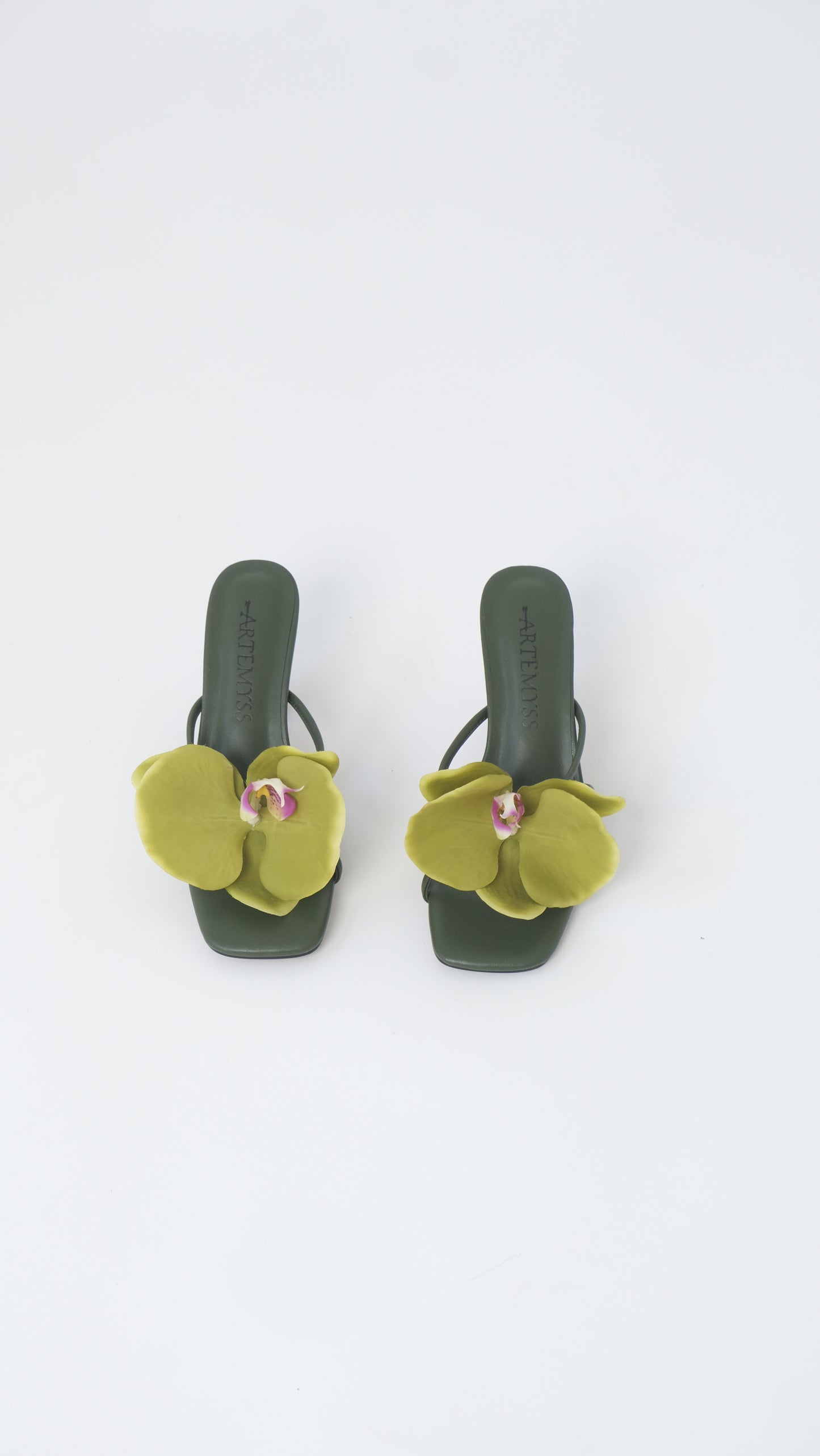 Nicole Mule