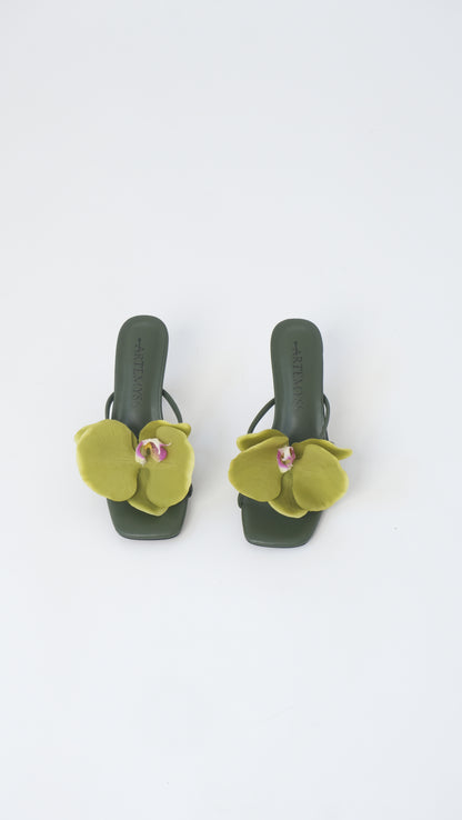 Nicole Mule