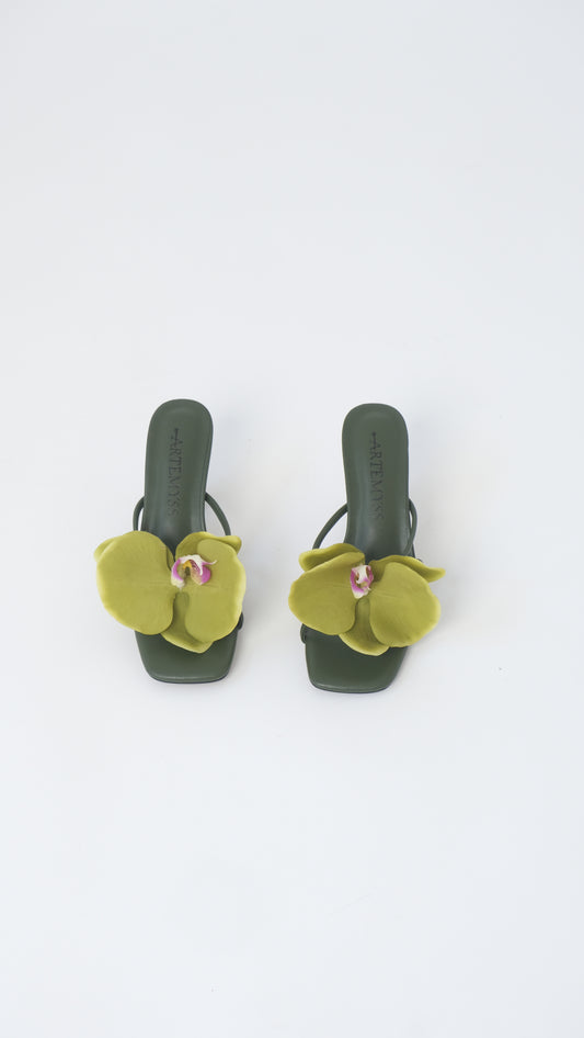 Nicole Mule
