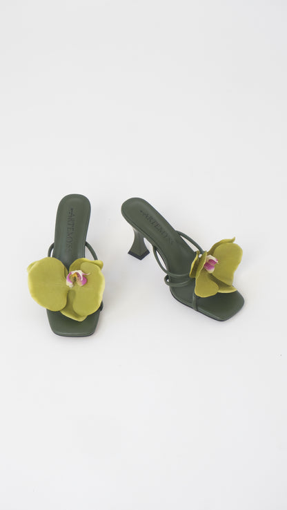 Nicole Mule