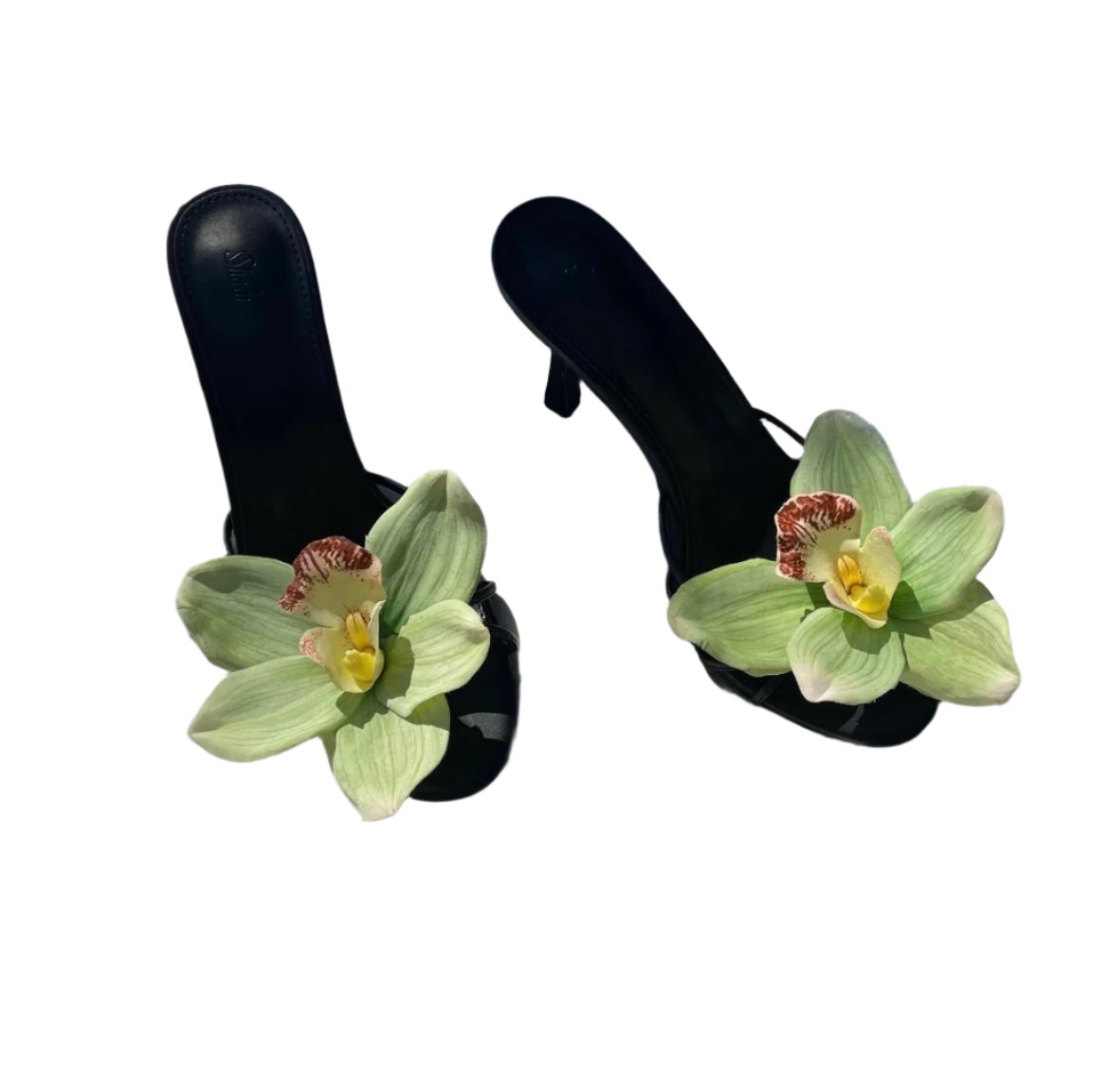 Joline Light Green Cymbidium Orchid Black Sandal